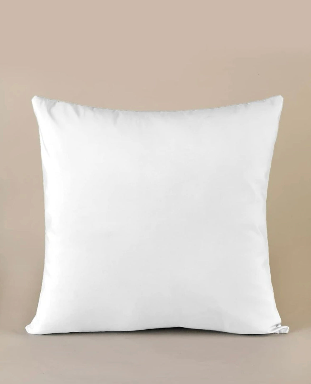 Custom Throw Pillow